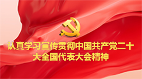 党的二十大精神官网