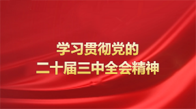 党的二十届三中全会官网